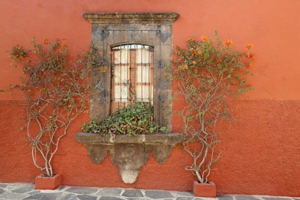 Mexico, San Miguel de Allende Window and plants